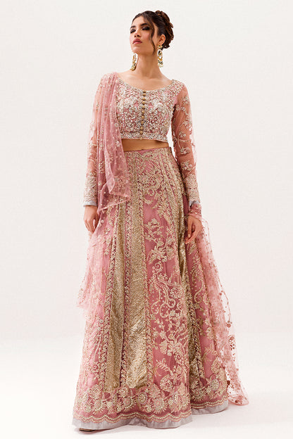 Luster Lehnga Choli