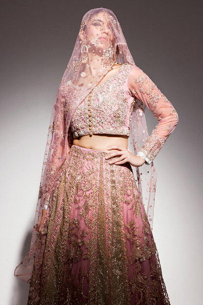 Luster Lehnga Choli