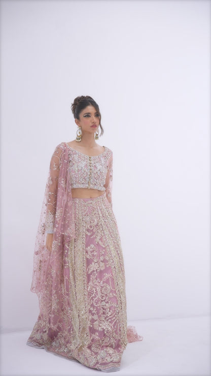 Luster Lehnga Choli